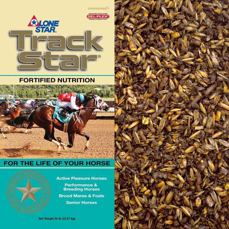 1021-with-product copy