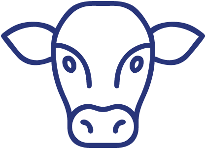 cattle icon