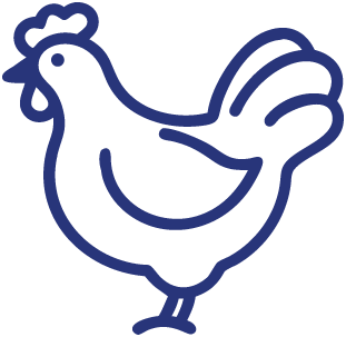 poultry icon