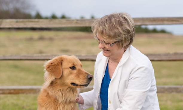 veterinarian with dog