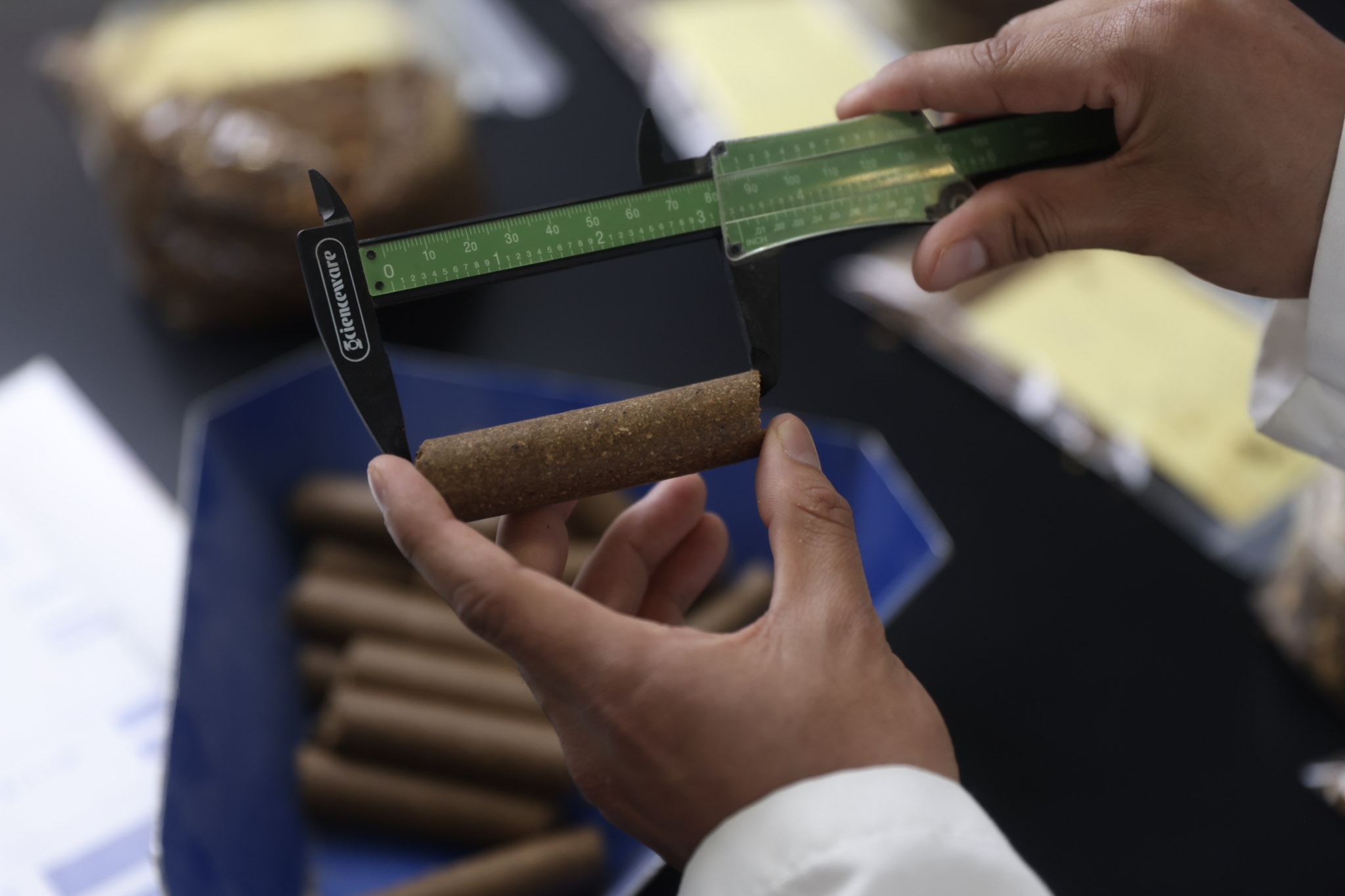 scientist measuring feed pellet