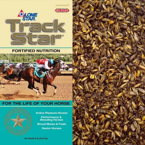 1021-with-product copy