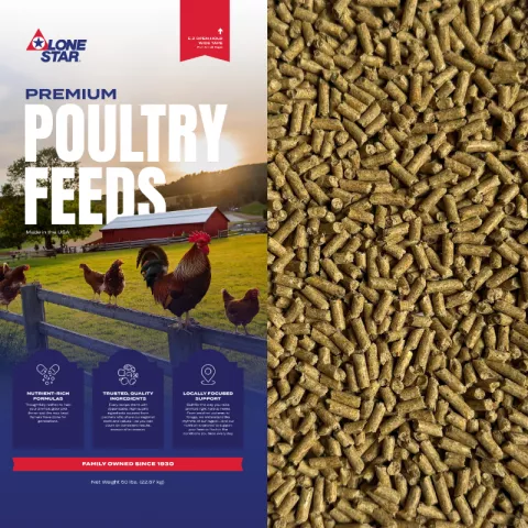 Poultry Feeds bag with feed