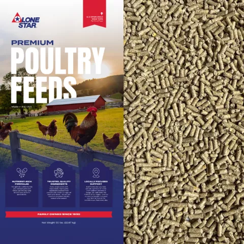 Poultry Feeds bag with feed